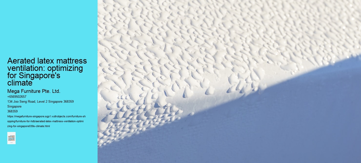 Aerated latex mattress ventilation: optimizing for Singapore's climate Mega Furniture Pte. Ltd. Aerated latex mattress ventilation: optimizing for Singapore's climate