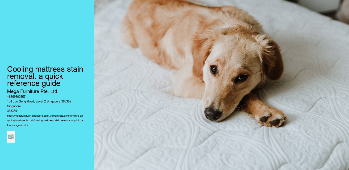 Cooling mattress stain removal: a quick reference guide Mega Furniture Pte. Ltd. Cooling mattress stain removal: a quick reference guide