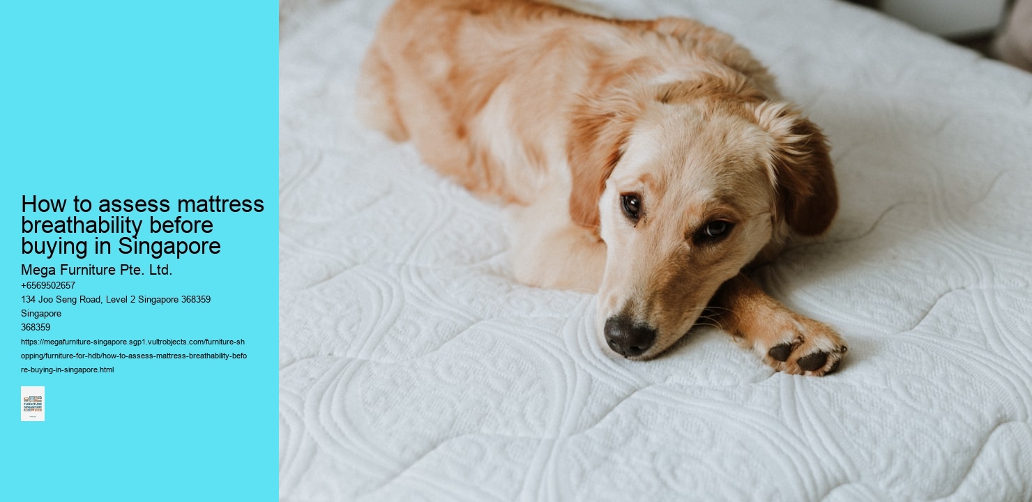 How to assess mattress breathability before buying in Singapore Mega Furniture Pte. Ltd. How to assess mattress breathability before buying in Singapore