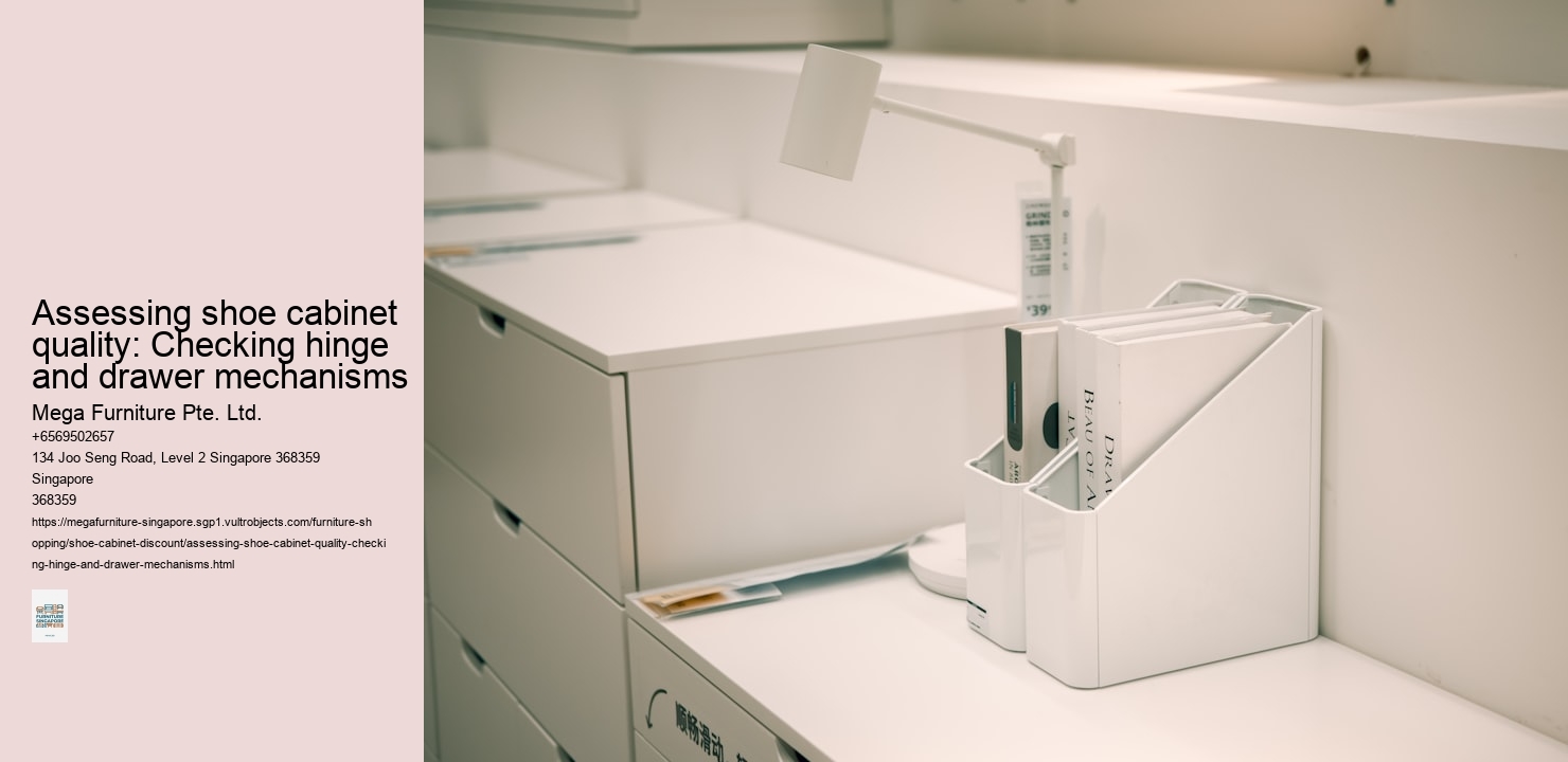 Assessing shoe cabinet quality: Checking hinge and drawer mechanisms