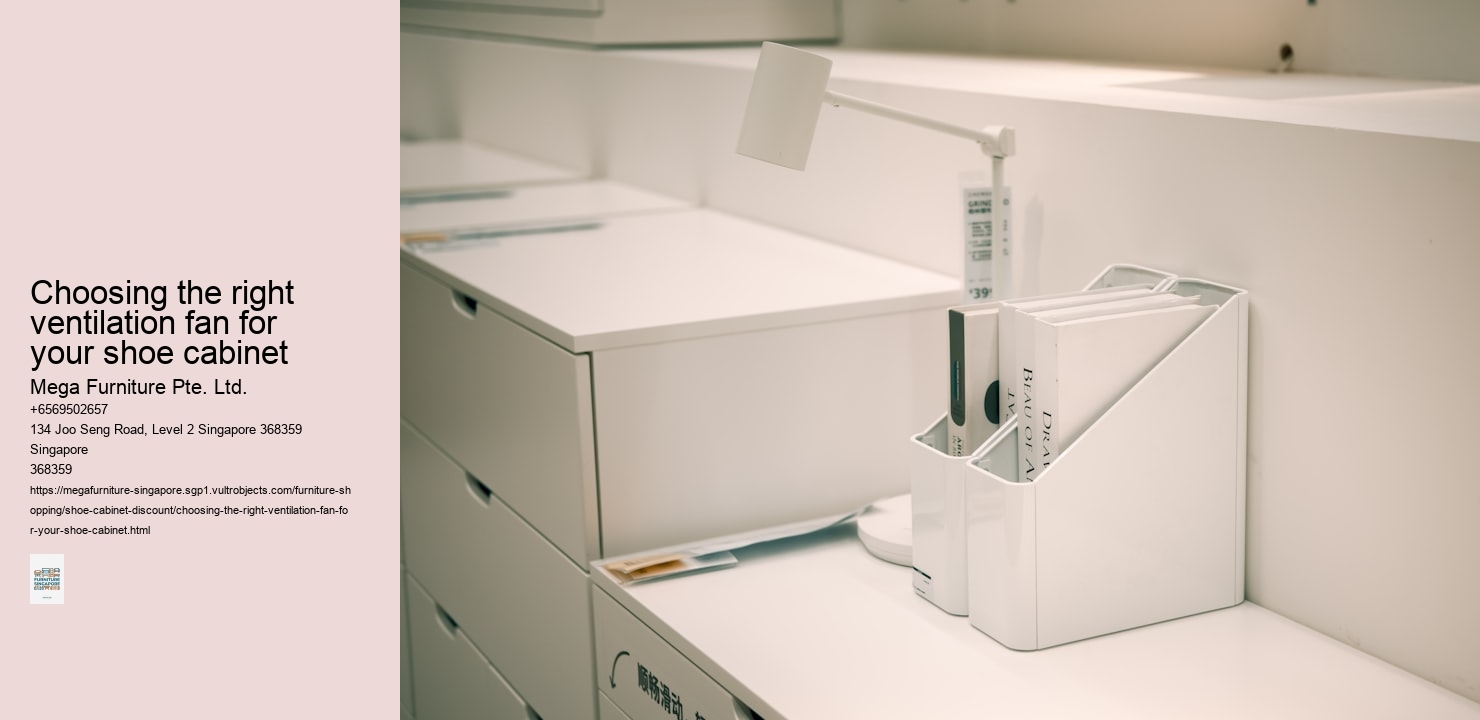 Choosing the right ventilation fan for your shoe cabinet