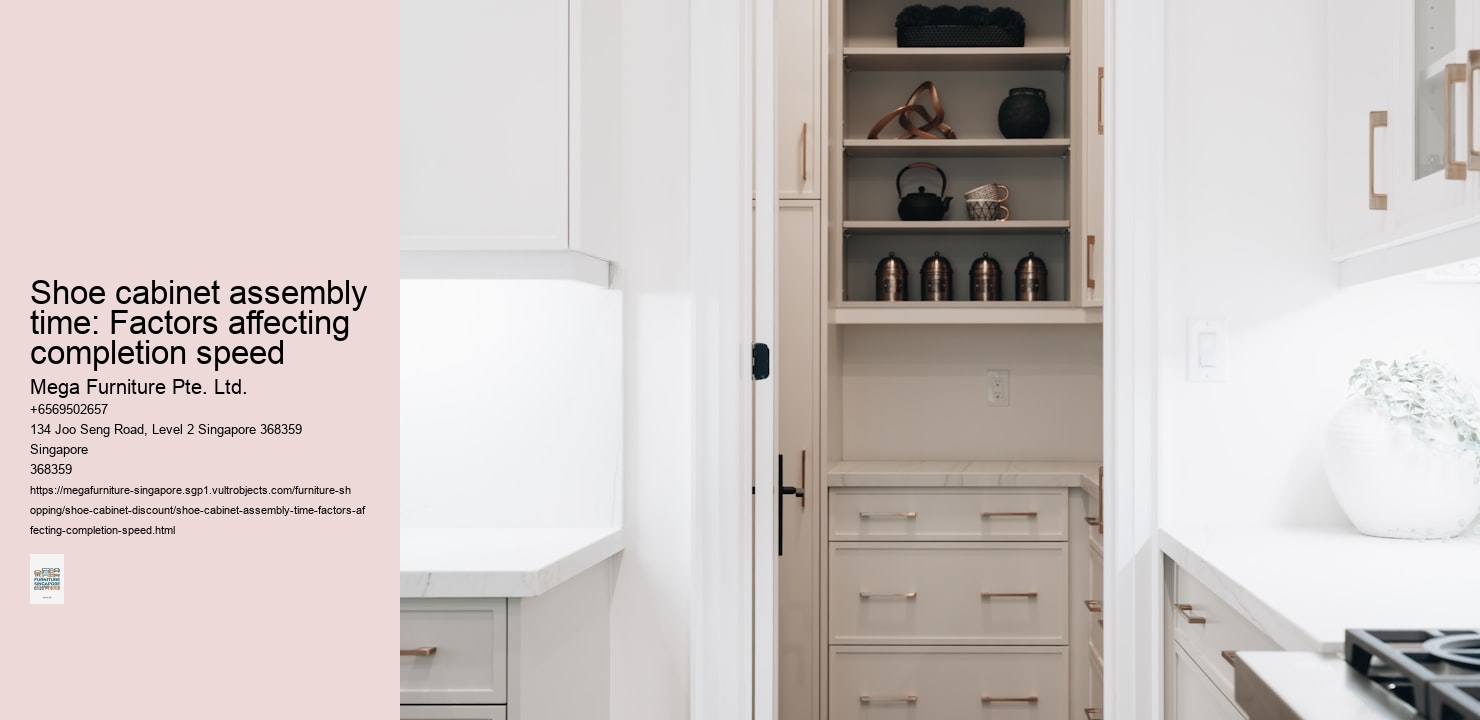 Shoe cabinet assembly time: Factors affecting completion speed Mega Furniture Pte. Ltd. Shoe cabinet assembly time: Factors affecting completion speed