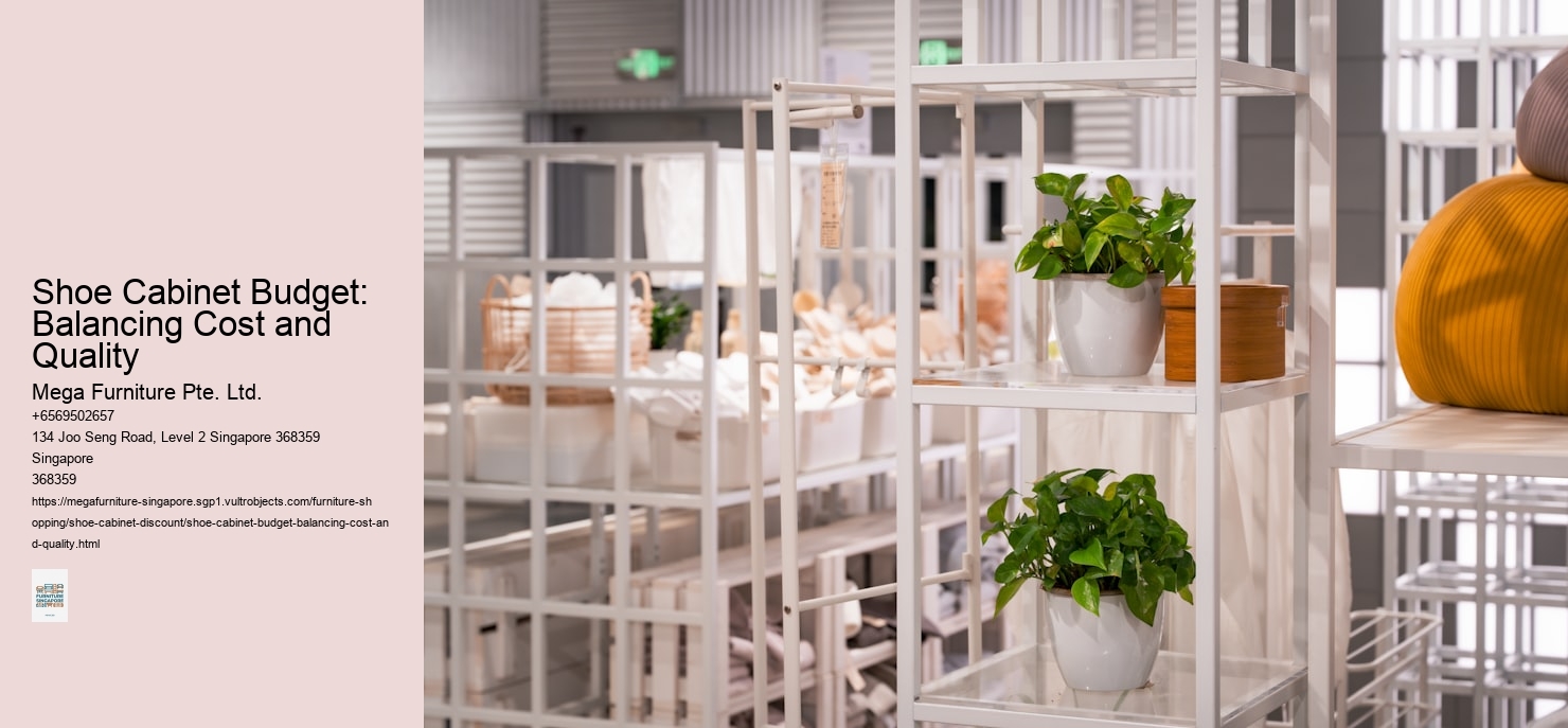 Shoe Cabinet Budget: Balancing Cost and Quality