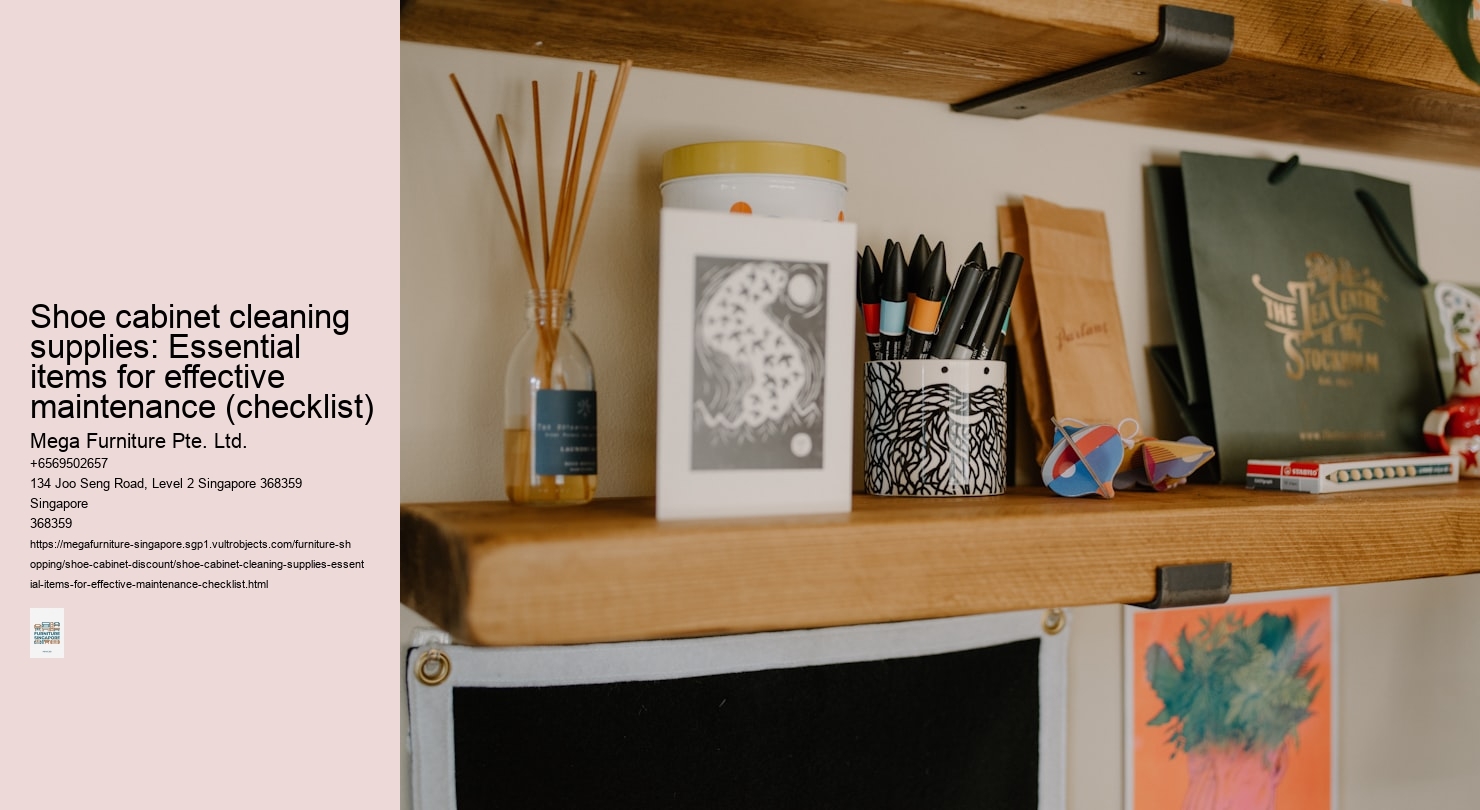 Shoe cabinet cleaning supplies: Essential items for effective maintenance (checklist)