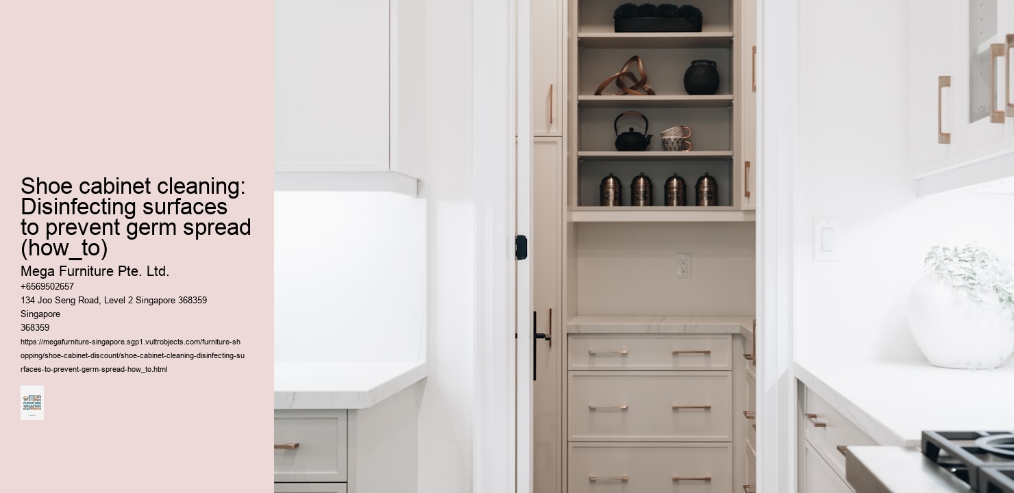 Shoe cabinet cleaning: Disinfecting surfaces to prevent germ spread (how_to)