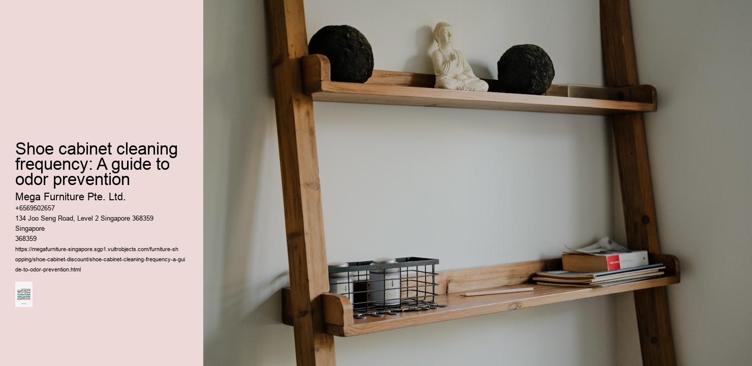 Shoe cabinet cleaning frequency: A guide to odor prevention