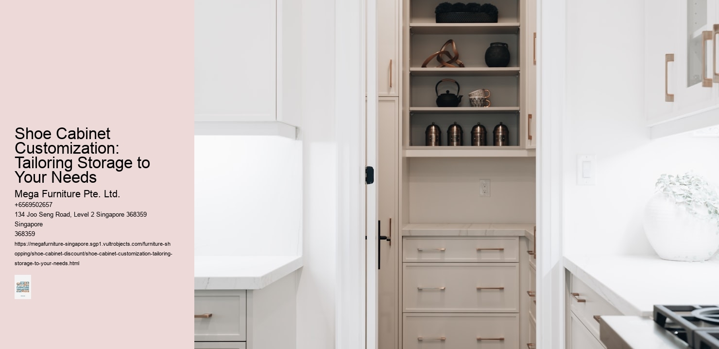 Shoe Cabinet Customization: Tailoring Storage to Your Needs