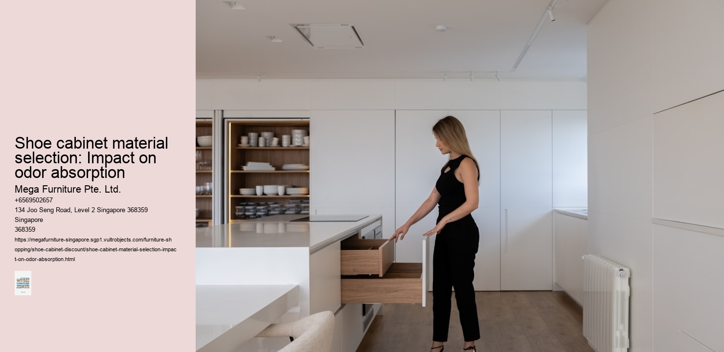 Shoe cabinet material selection: Impact on odor absorption