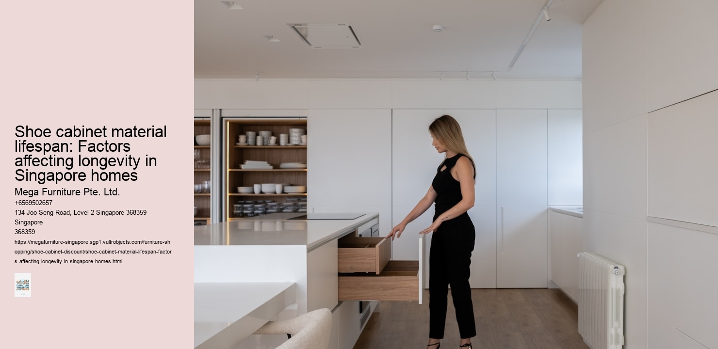 Shoe cabinet material lifespan: Factors affecting longevity in Singapore homes