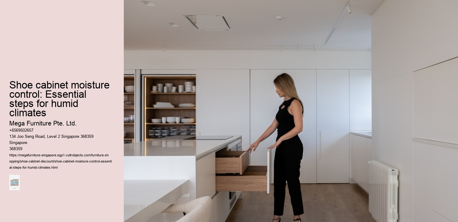 Shoe cabinet moisture control: Essential steps for humid climates