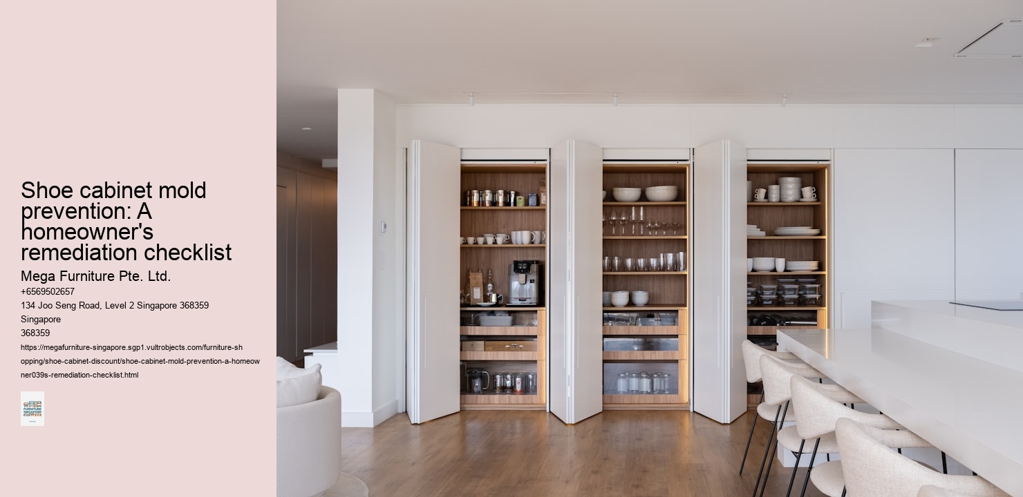 Shoe cabinet mold prevention: A homeowner's remediation checklist