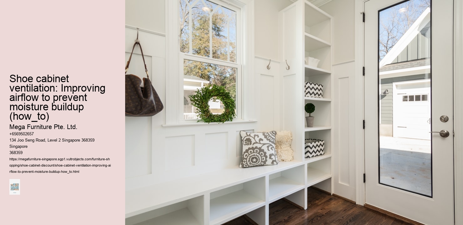 Shoe cabinet ventilation: Improving airflow to prevent moisture buildup (how_to)