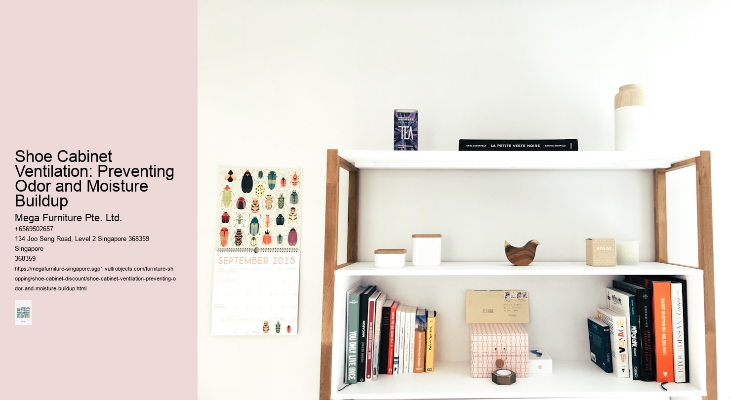 Shoe Cabinet Ventilation: Preventing Odor and Moisture Buildup