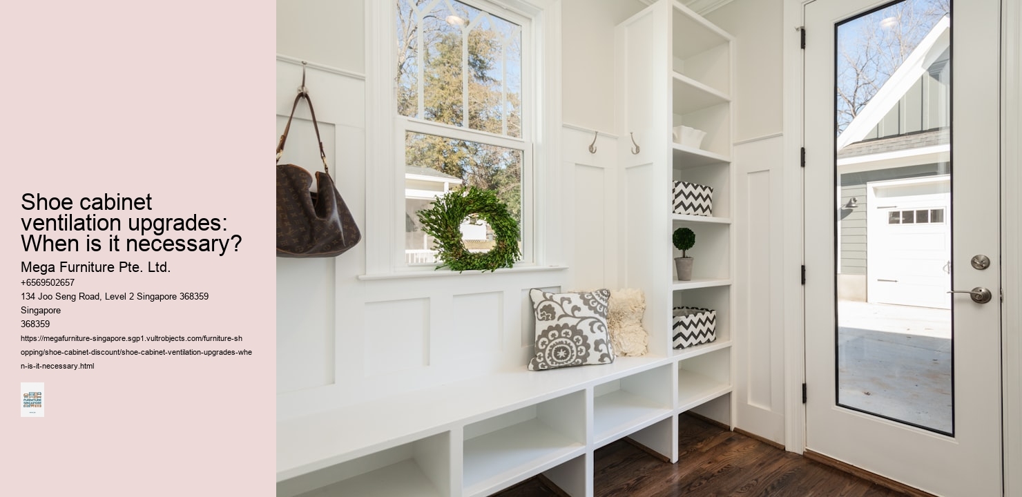 Shoe cabinet ventilation upgrades: When is it necessary?