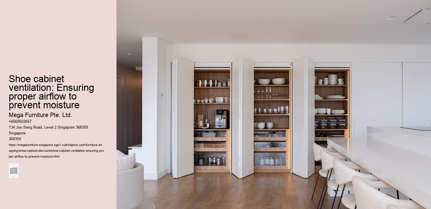 Shoe cabinet ventilation: Ensuring proper airflow to prevent moisture