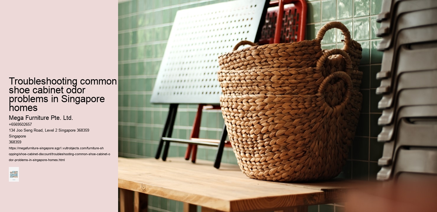 Troubleshooting common shoe cabinet odor problems in Singapore homes
